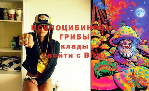 эйфоретик Богородск