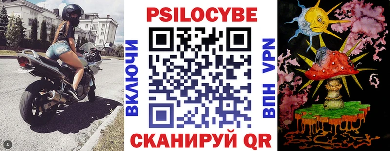 Псилоцибиновые грибы Cubensis  купить закладку  Дюртюли 
